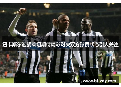 纽卡斯尔迎战莱切期待精彩对决双方球员状态引人关注